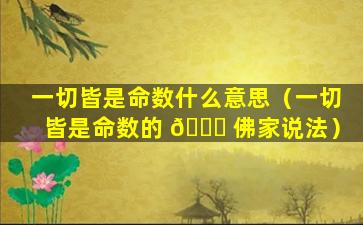 一切皆是命数什么意思（一切皆是命数的 🐎 佛家说法）